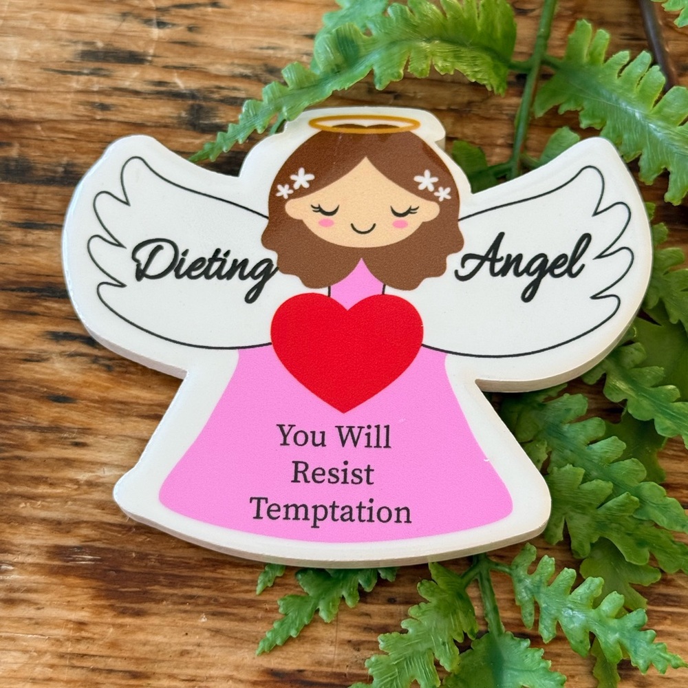 ⚡️Magnet - Dieting Angel ‘You Will Resist Temptation’ NWT